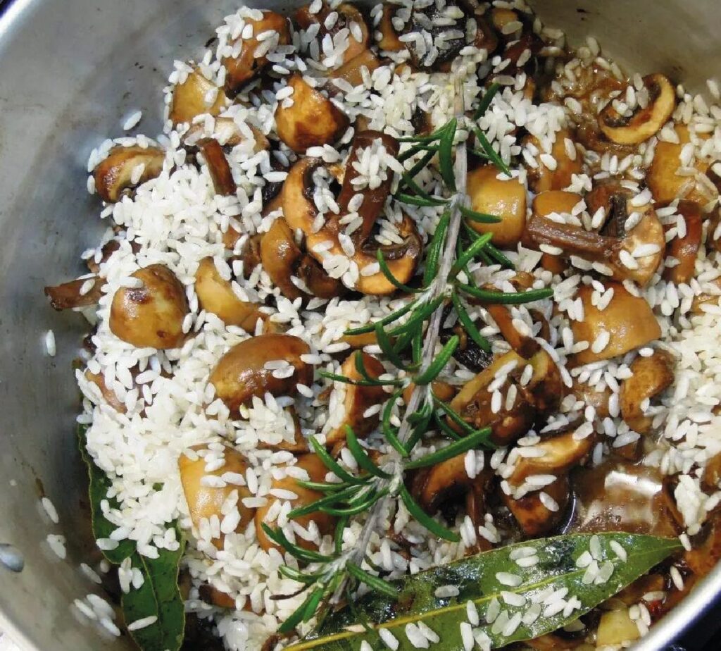 Arroz de cogumelos com vinho tinto e rosmaninho