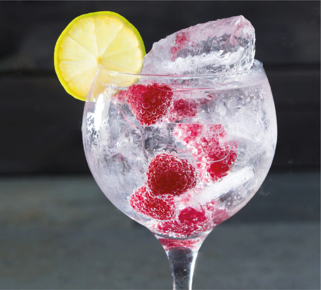 Cocktail de gin com framboesas e água tónica