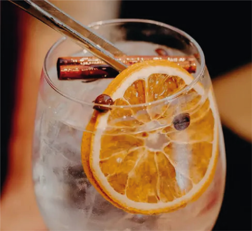 Gin com Laranja Desidratada